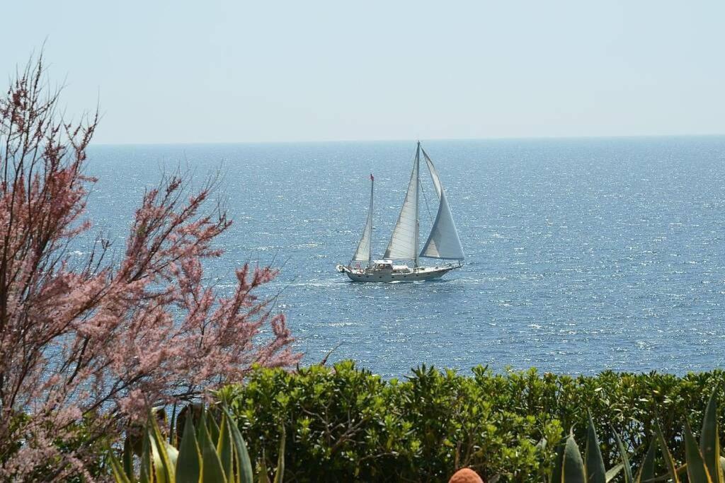Villa Vallgornera Palma